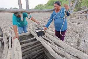 La Justicia intimó a Zdero el hambre de las comunidades wichís del Impenetrable