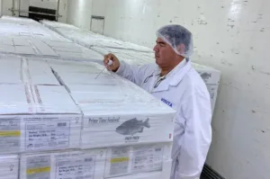 Chaco envió más de 8 mil kilos de carne de pacú a Estados Unidos