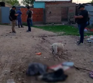 Cinco detenidos por un homicidio a tiros en el sur de Resistencia