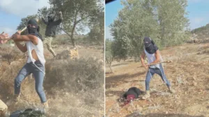 Colonos israelíes continúan con ataques brutales a agricultores palestinos