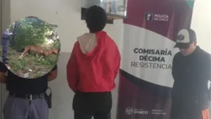 Detuvieron a un hombre que mató un caballo a cuchillazos