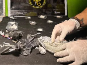 Golpe al narcotráfico: secuestraron casi 20 kilos de cocaína, vehículos, dinero y detuvieron a tres personas