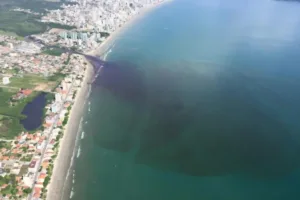 Emergencia sanitaria en las playas de Santa Catarina (Brasil)