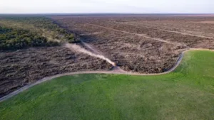 Durante 2025, se desmontaron y quemaron más de 38 mil hectáreas en Chaco